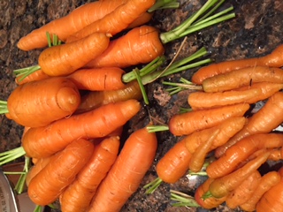 Carrots2